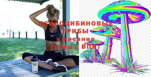первитин Алексеевка