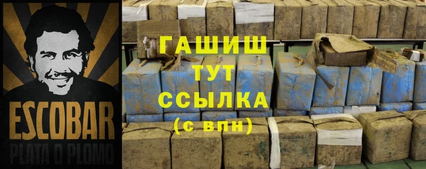 гидра Алексин