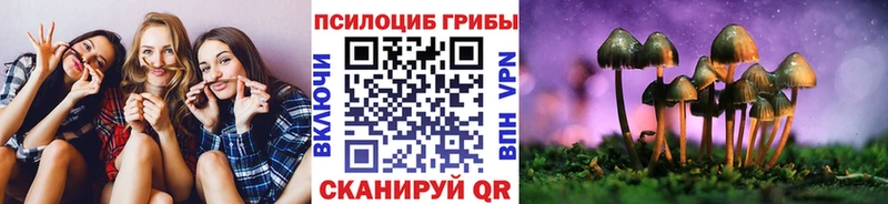 наркота  Ардон  Псилоцибиновые грибы Psilocybine cubensis 
