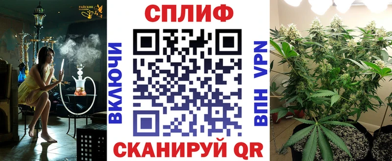 где найти наркотики  Ардон  mega зеркало  Бошки Шишки гибрид 